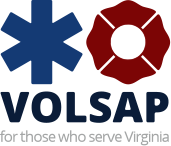 VOLSAP logo