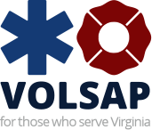 Logo ng VOLSAP